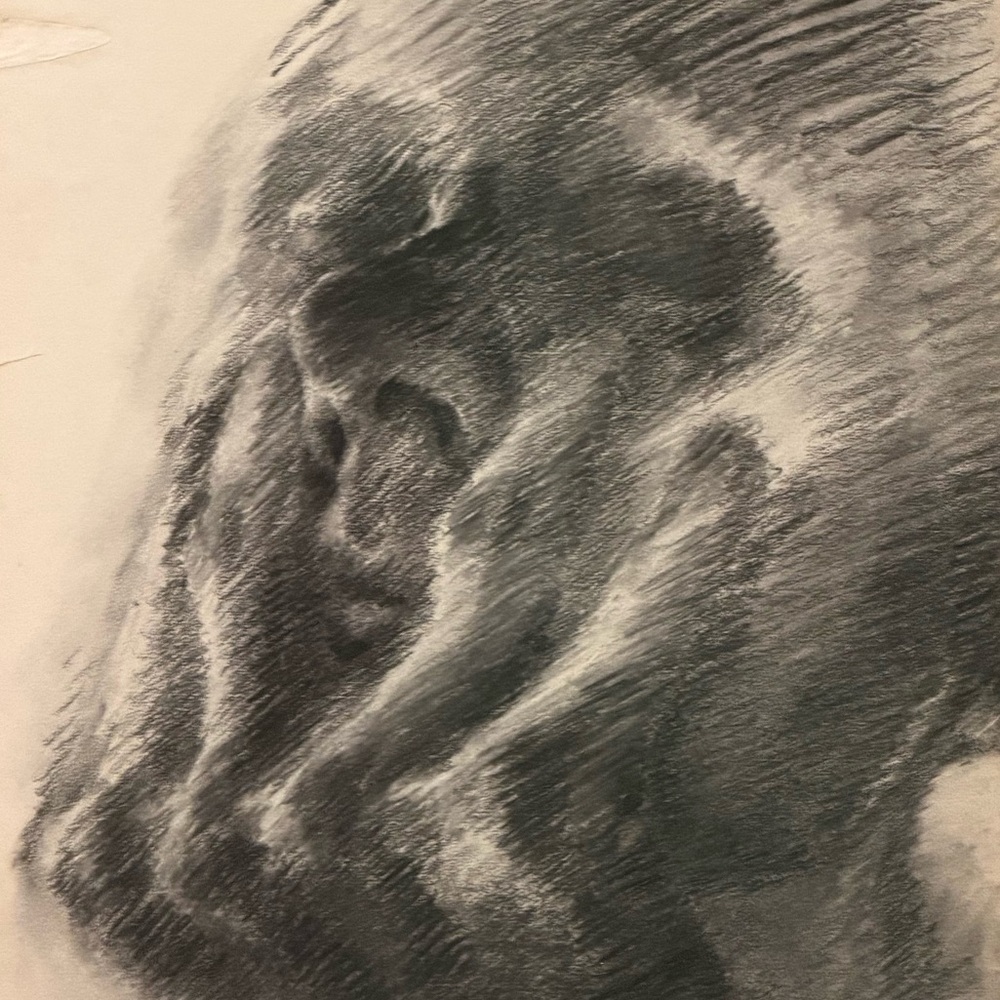 Meet your Posher, Arne